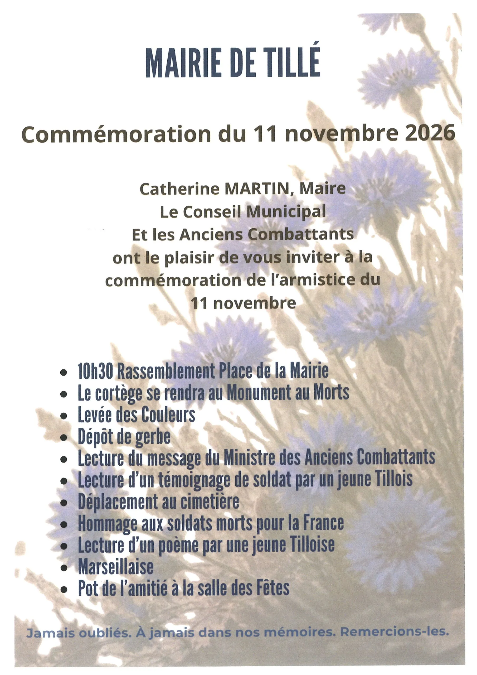 Lire la suite de l'actualité Commémoration du 11 novembre 2026